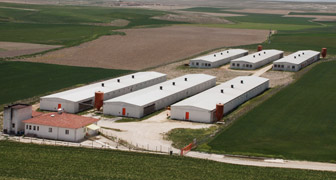 HASTAVUK Eskişehir Sivrihisar ve Bursa Karacabey Harmanlı kümes inşaatları tamamlandı.